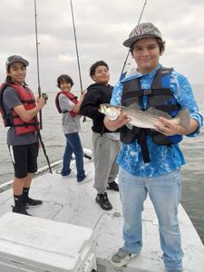 Spotted weakfish, 24 inches long, caught in TX