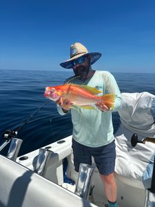 Panama City Beach catch with Top to Bottom!
