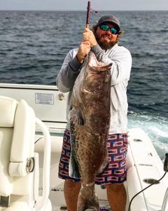 Panama City Beach's finest catches!