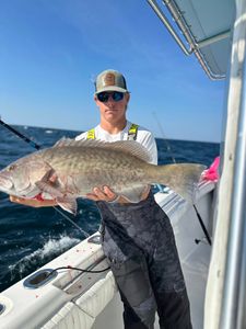 A person fishing in FL