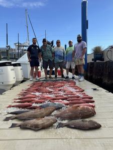 Four large fish caught during a fishing trip in Panama City Beach