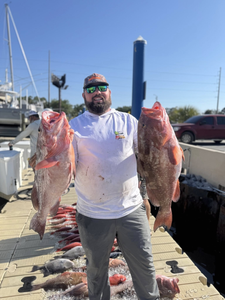 Two Red Grouper fish caught in Panama City Beach, Florida
