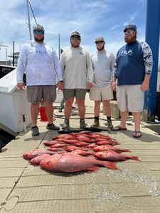 Two grey snapper fish caught while fishing in Panama City Beach