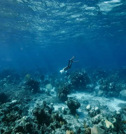 Angler fishing in Andros Town