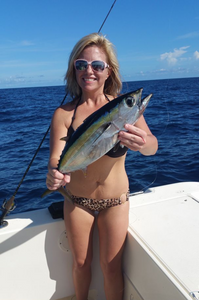 Blackfin Tuna, a large fish caught by a lone angler in Islamorada