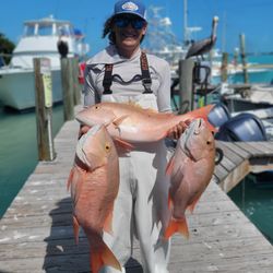 Three large fish caught during a fishing trip in Islamorada