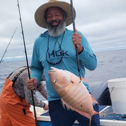 Mutton Snapper, 13 inch fish, fishing in FL
