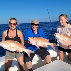 Three mutton snapper caught while fishing in Islamorada FL displayed on boat deck