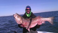 Striped Bass in Neptune City, NJ