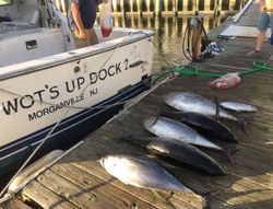 Fishing in NJ