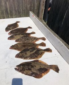 5 fish caught in Neptune City