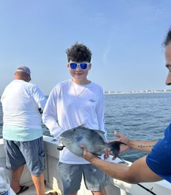 Grey Triggerfish caught while fishing in NJ