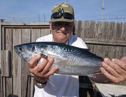 Fisherman holding a little tunny fish caught in NJ