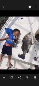 Fish-Species