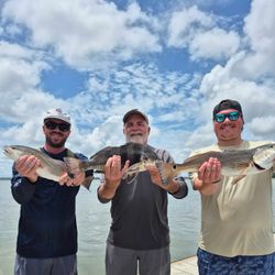 3 redfish and black drum caught fishing on Hilton Head Island