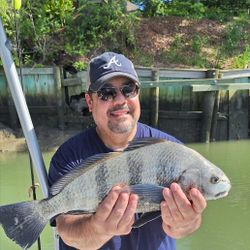 Fish-Species