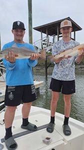 Fish-Species