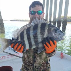 Fish-Species