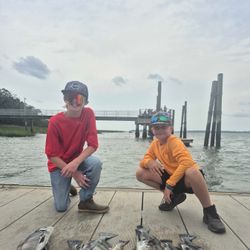 Fish-Species