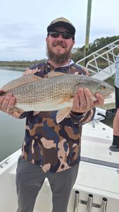 Fish-Species