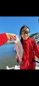Fish-Species