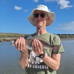 Fish-Species
