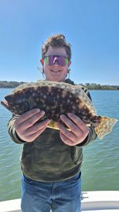 Fish-Species