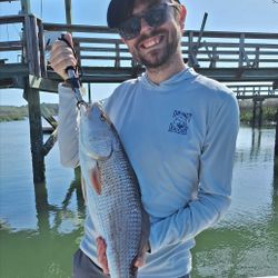 Fish-Species