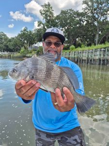 Angler with a large black drum fish caught while fishing on Hilton Head Island