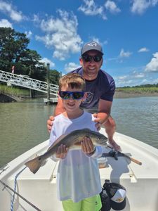 A single Atlantic Croaker fishing catch on Hilton Head Island