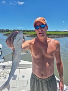 A fisherman with an Atlantic Sharpnose Shark, a 26-inch fish, in South Carolina