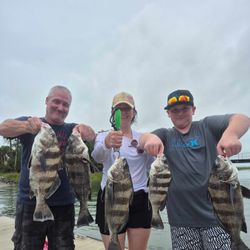 Fish-Species