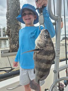A big black drum fish caught while fishing in SC.