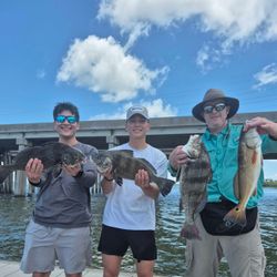 4 big black drum and redfish caught on a fishing trip at Hilton Head Island