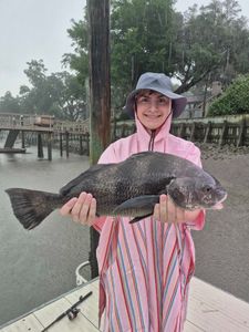 Angler with a large black drum fish in SC