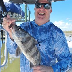 Caught a 12-inch black drum while fishing in SC