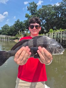 Photograph of a large black drum fish caught while fishing in South Carolina.
