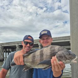 A fisherman holding a large black drum fish on Hilton Head Island