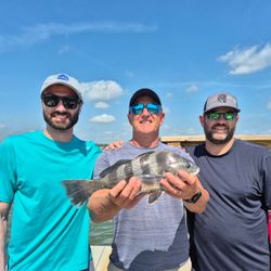 Black Drum fish caught in SC