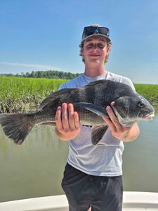 Photograph of a 28-inch Black Drum fish caught in SC