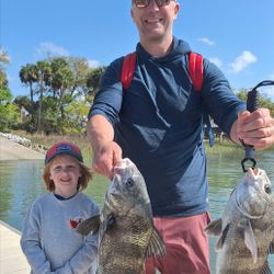 Two black drum fish caught in SC