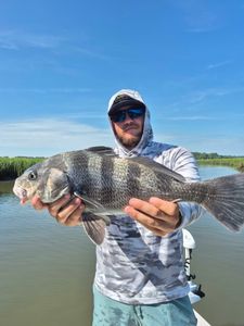 Fishing a big black drum in SC