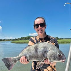 A 29-inch black drum caught while fishing on Hilton Head Island