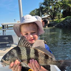 Black Drum fish caught while fishing on Hilton Head Island