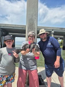 A 16-inch black drum caught during a fishing trip on Hilton Head Island