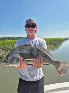A single black drum fish caught while fishing at Hilton Head Island