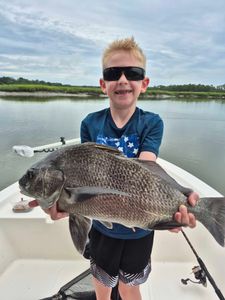 Angler catches large black drum fish on Hilton Head Island