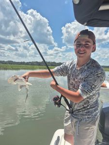 Bonnethead shark fishing in SC