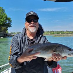 Fish-Species