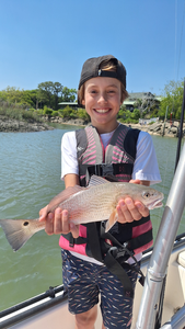 Caught a nice one out here.